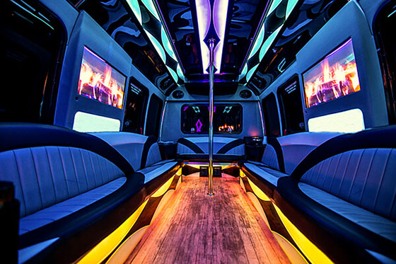 limousine service interior lounge