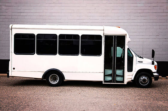 20-passenger party bus