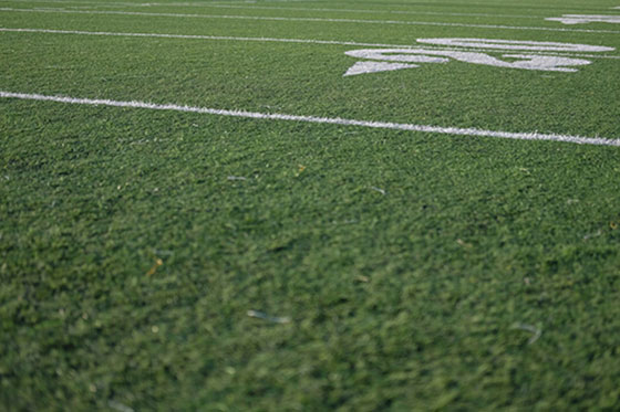 sports events in las cruces, nm